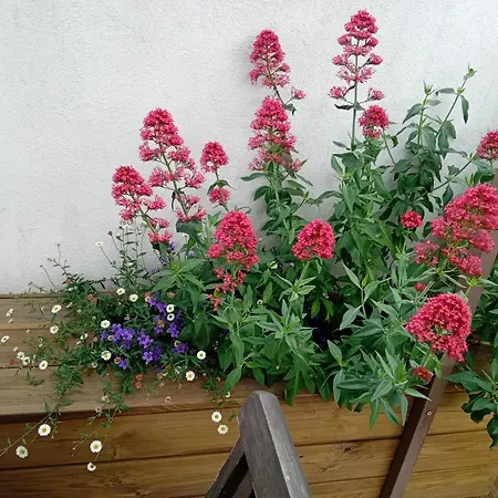 Apartman Le Grenadier *