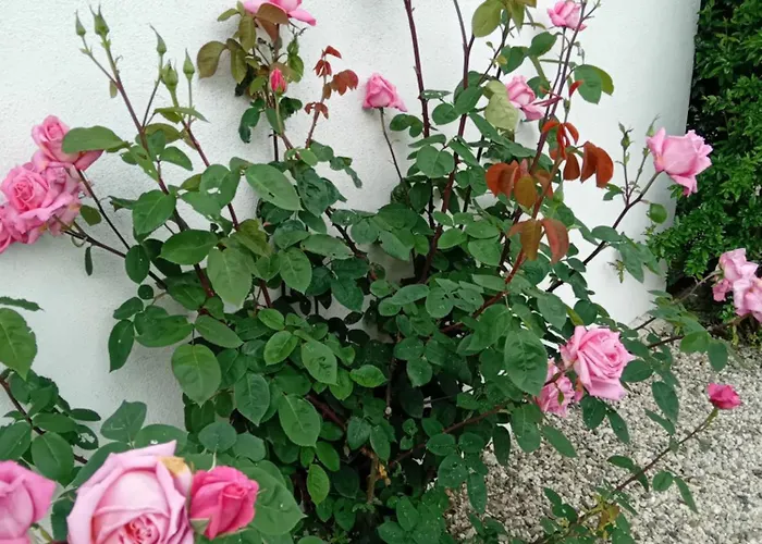 Le Grenadier * Ventenac-Cabardès