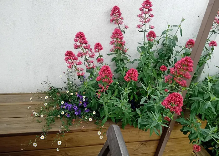 شقة Le Grenadier *